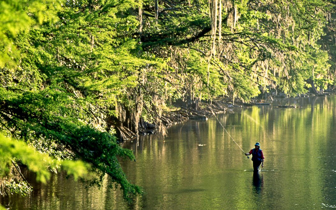 TPWD Announces Opening of Guadalupe River Fishing Leases