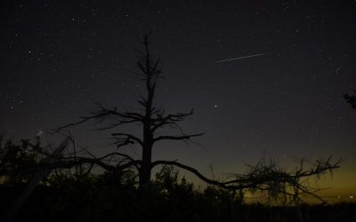 Perseid meteor shower 2021: All you need to know