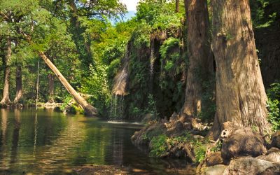 Little Cypress Creek/Krause Springs Study stakeholder meeting