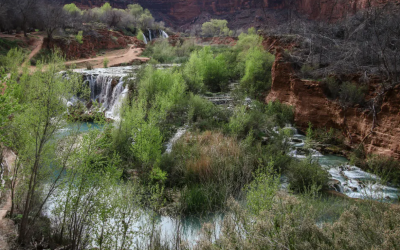 Texas groundwater supplies in danger, reports say