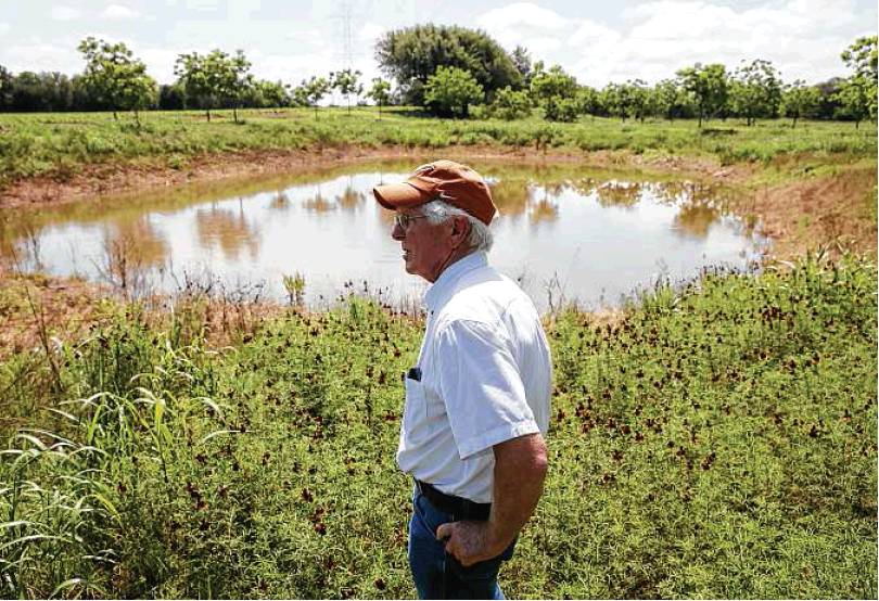 Mark Friesenhahn looks over the sediment-laden water from a nearby quarry flooded 15 acres of his orchard to a depth of a foot and a half.