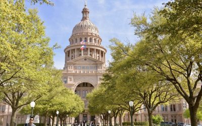 lege+water: June 2021 Update