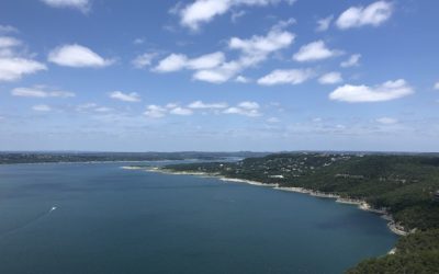 Test results show significant declines in blue-green algae toxicity in Lake Travis