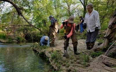 Urban Riparian demonstration site in Seguin approved for three more years