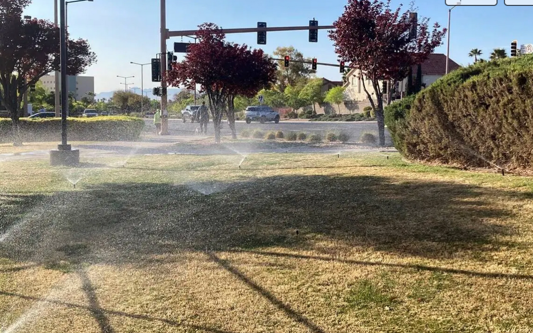 Sprinklers water grass on a street corner
