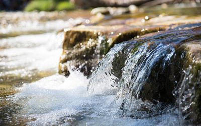 EPA recognizes Austin Water for efforts to restore ecosystems