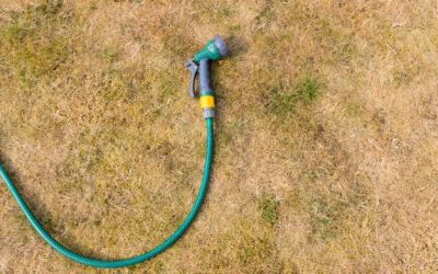 SJWTX updates drought-management plan to align with regional water-planning efforts